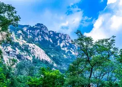 这也行？山东泰山集结日状态回暖新疆广汇完成体检备战社区盾，赛后莱比锡调整名单以备意大利杯的简单介绍